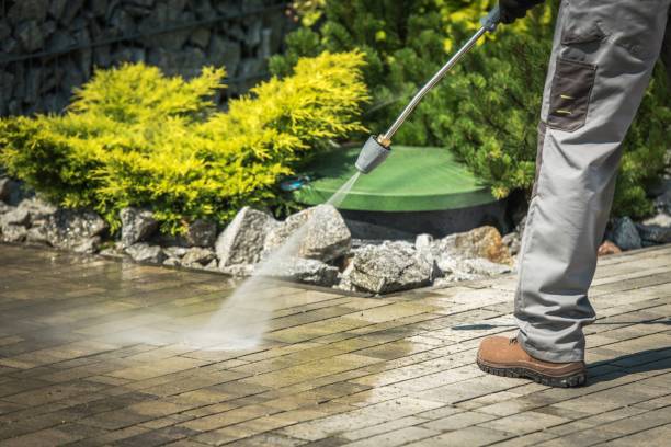 Best Dumpster Area Cleaning  in Canton Valley, CT